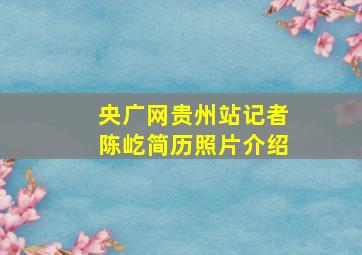 央广网贵州站记者陈屹简历照片介绍