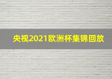 央视2021欧洲杯集锦回放