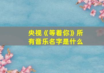 央视《等着你》所有音乐名字是什么