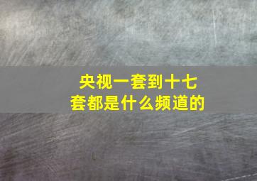 央视一套到十七套都是什么频道的