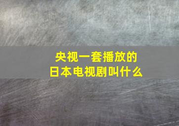 央视一套播放的日本电视剧叫什么