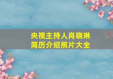 央视主持人肖晓琳简历介绍照片大全