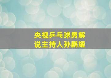 央视乒乓球男解说主持人孙鹏耀