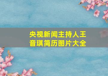 央视新闻主持人王音琪简历图片大全