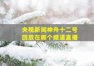 央视新闻神舟十二号回放在哪个频道直播