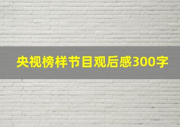 央视榜样节目观后感300字