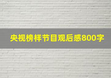 央视榜样节目观后感800字