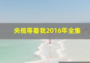 央视等着我2016年全集