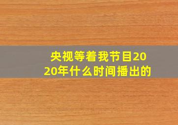 央视等着我节目2020年什么时间播出的