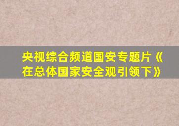 央视综合频道国安专题片《在总体国家安全观引领下》