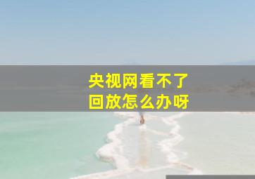 央视网看不了回放怎么办呀