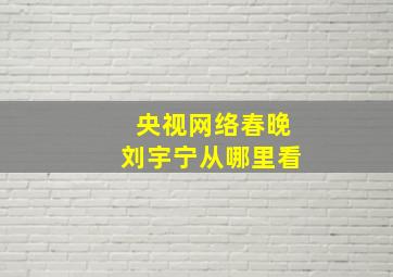 央视网络春晚刘宇宁从哪里看