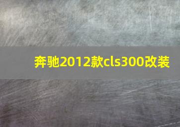 奔驰2012款cls300改装