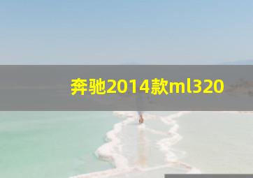 奔驰2014款ml320