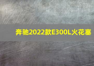 奔驰2022款E300L火花塞