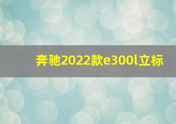 奔驰2022款e300l立标