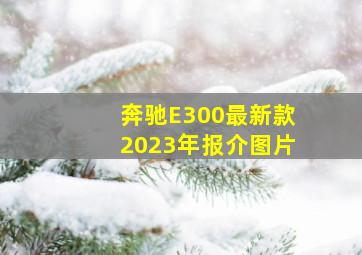 奔驰E300最新款2023年报介图片