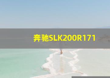 奔驰SLK200R171