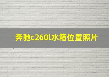 奔驰c260l水箱位置照片