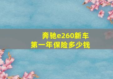 奔驰e260新车第一年保险多少钱