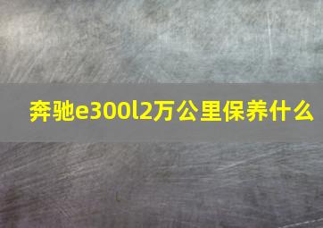 奔驰e300l2万公里保养什么