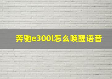 奔驰e300l怎么唤醒语音