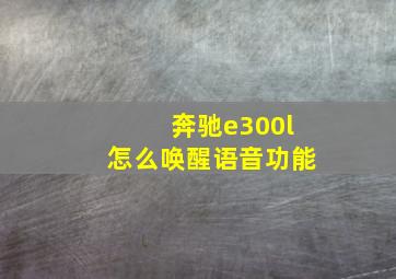 奔驰e300l怎么唤醒语音功能