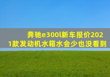 奔驰e300l新车报价2021款发动机水箱水会少也没看到