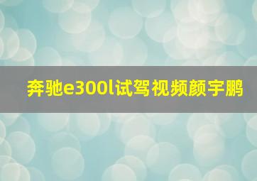 奔驰e300l试驾视频颜宇鹏