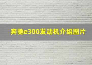 奔驰e300发动机介绍图片