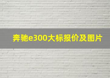 奔驰e300大标报价及图片