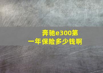 奔驰e300第一年保险多少钱啊