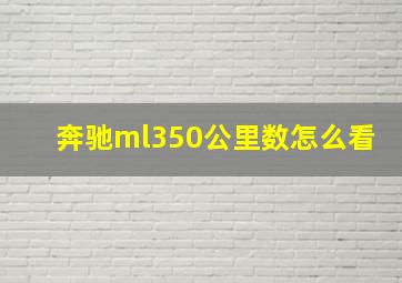 奔驰ml350公里数怎么看