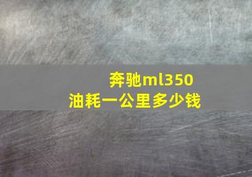 奔驰ml350油耗一公里多少钱