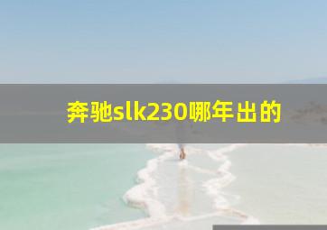 奔驰slk230哪年出的