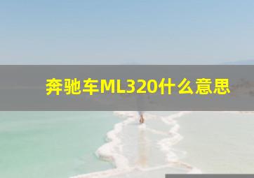 奔驰车ML320什么意思