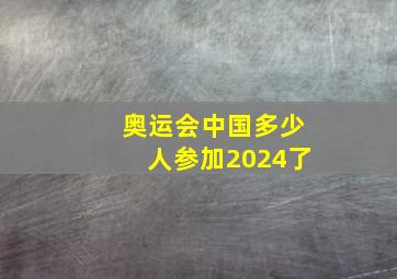 奥运会中国多少人参加2024了