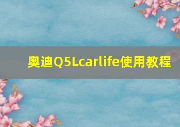 奥迪Q5Lcarlife使用教程