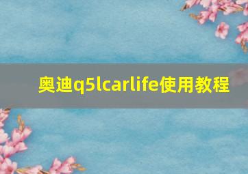 奥迪q5lcarlife使用教程