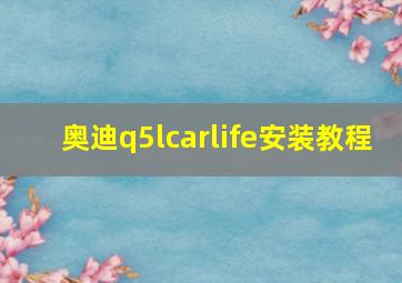 奥迪q5lcarlife安装教程