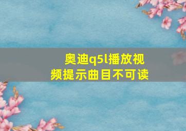 奥迪q5l播放视频提示曲目不可读