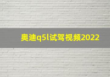 奥迪q5l试驾视频2022