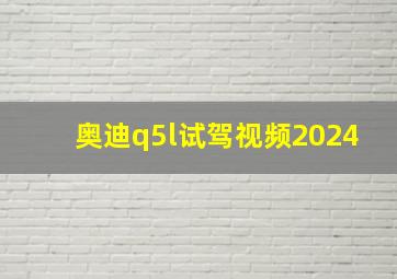 奥迪q5l试驾视频2024