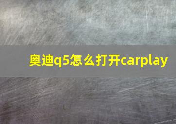 奥迪q5怎么打开carplay