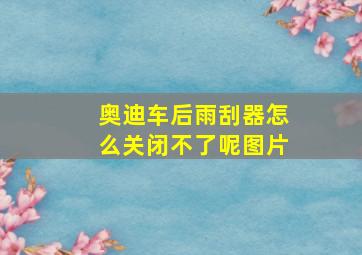 奥迪车后雨刮器怎么关闭不了呢图片