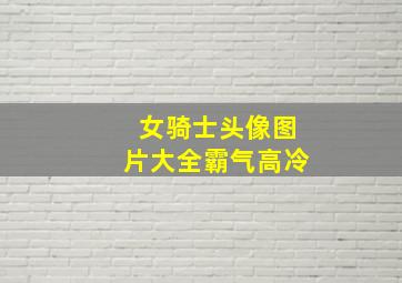 女骑士头像图片大全霸气高冷