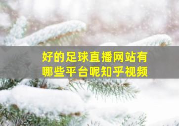 好的足球直播网站有哪些平台呢知乎视频