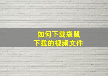 如何下载袋鼠下载的视频文件