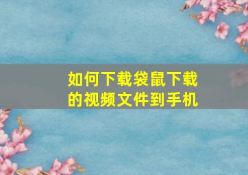 如何下载袋鼠下载的视频文件到手机