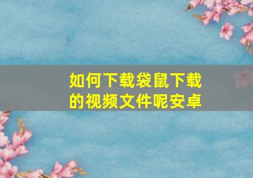 如何下载袋鼠下载的视频文件呢安卓